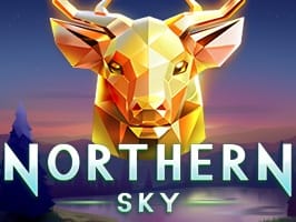 Northern Sky